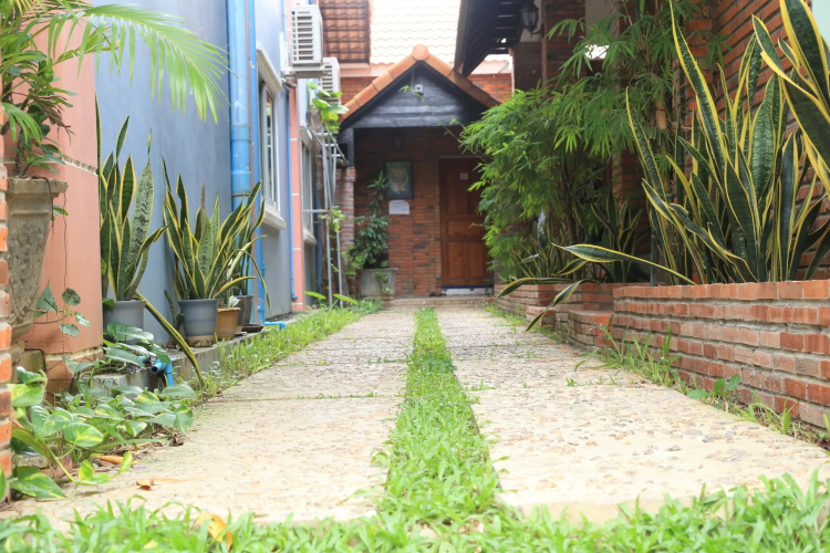 The Coconut House