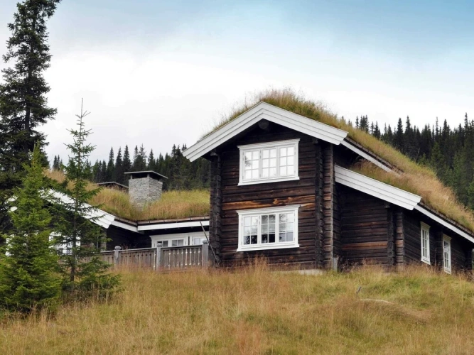 Holiday Home in FÃ¥vang