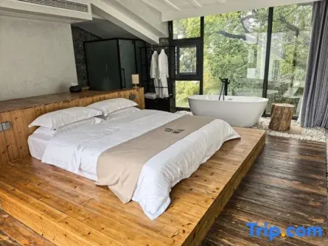 Standard Double room with mountain view