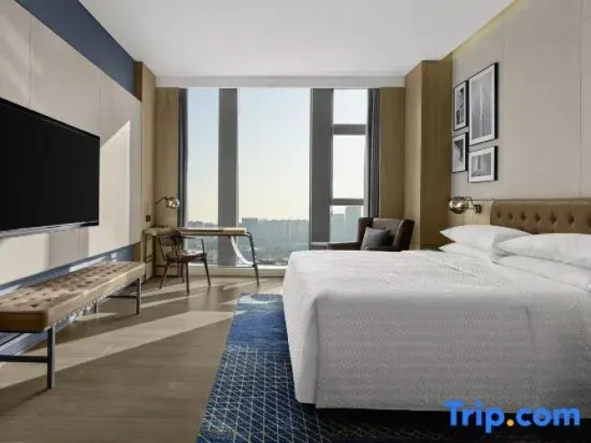 1 Bedroom Double Suite with city view