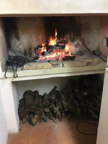 Tenuta Il Grifo