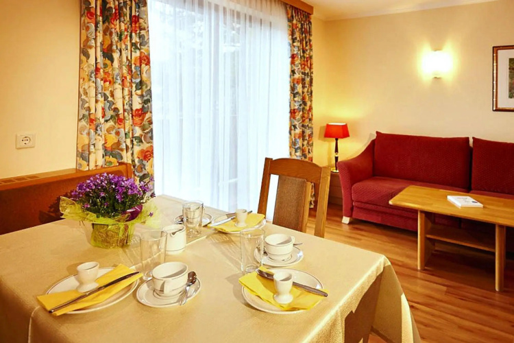 Apartment in Flachau With a Reception