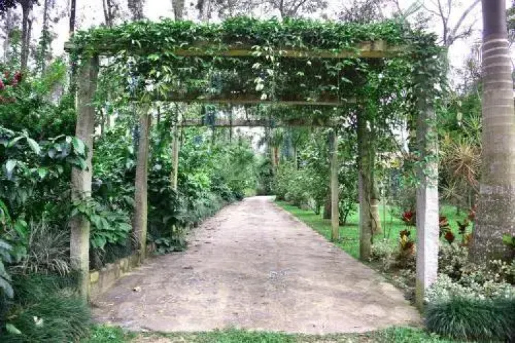 Chingaara Estate Guest House