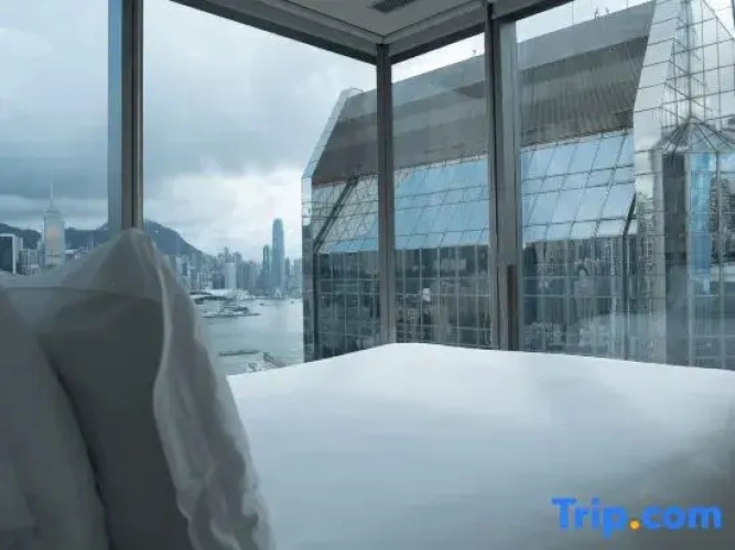 Premier Double Suite with harbour view