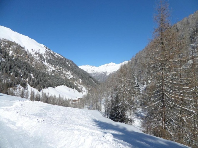 Chalet
