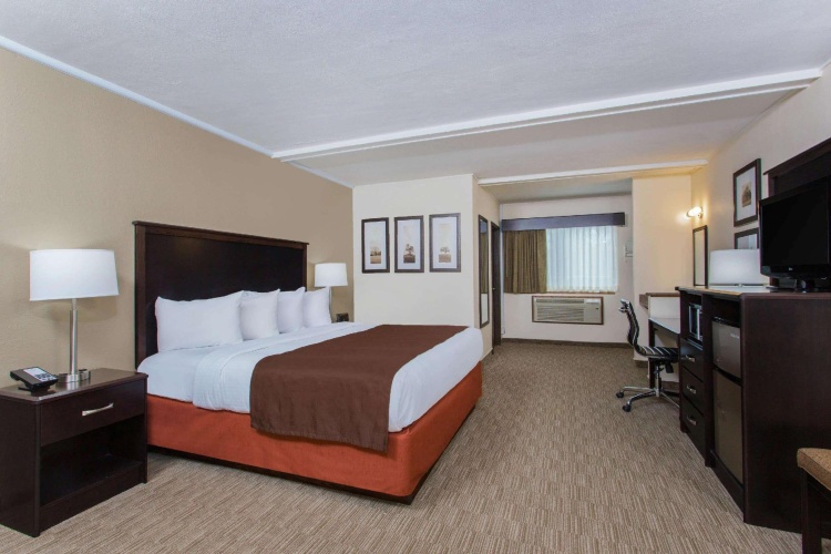 Standard Double room