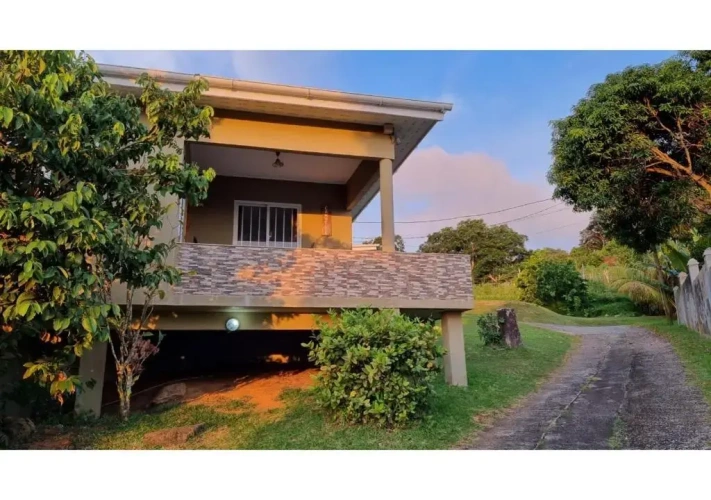 Villa with garden view