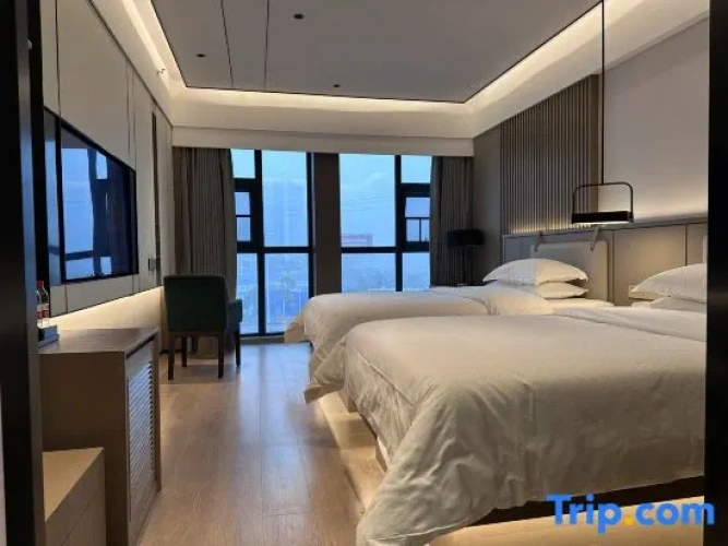 Standard Twin room with street view