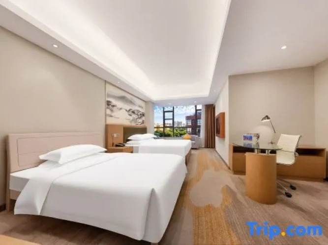 Standard Twin Family room