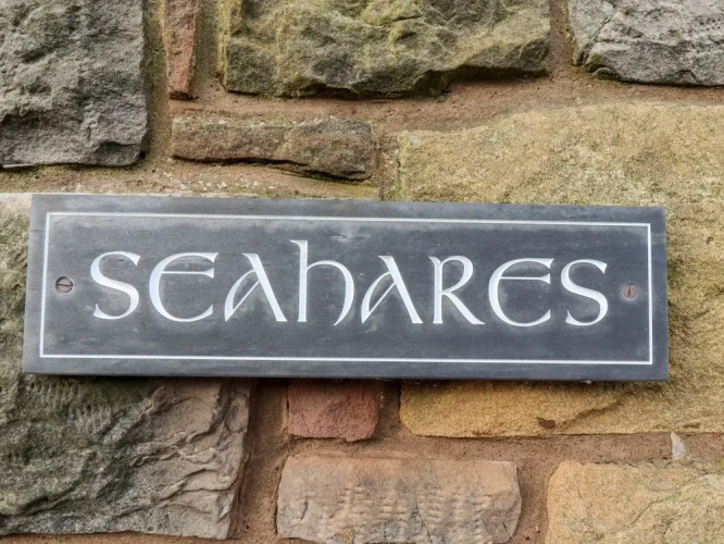 Seahares
