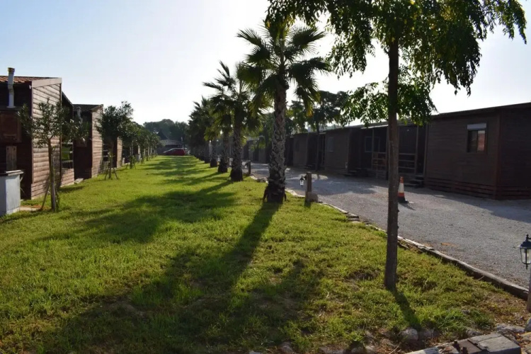 Escuela Albufera