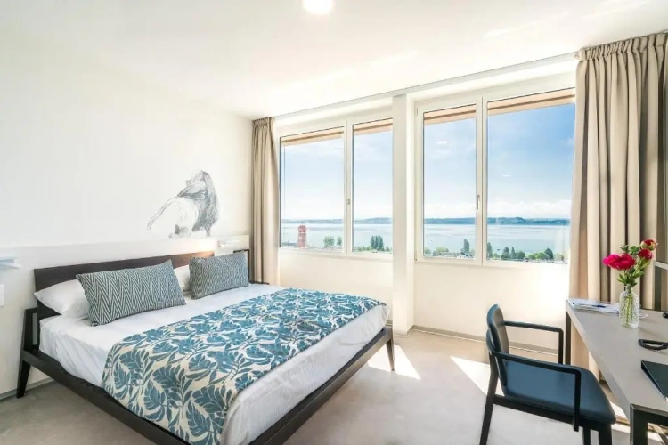 Standard Double room with lake view