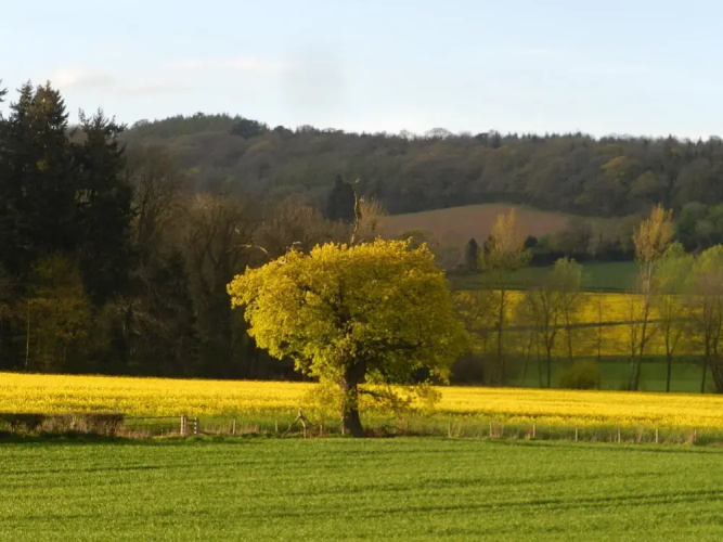 Comfy 4m -bed Bell Tent With Great Views