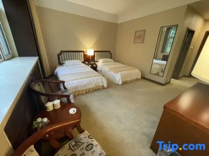 Standard Twin room with land view