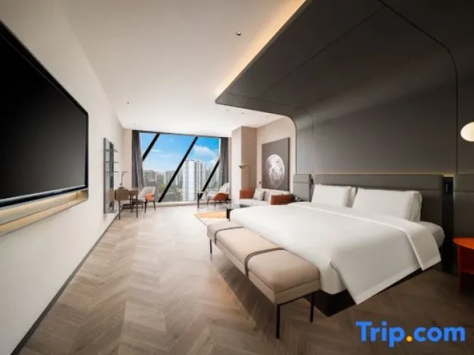 Premier Double room with city view