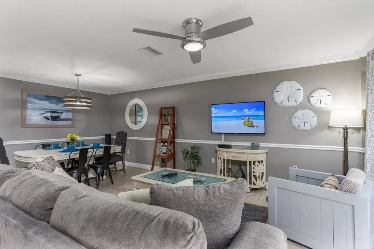 Minorga Sand Dollar on the Key