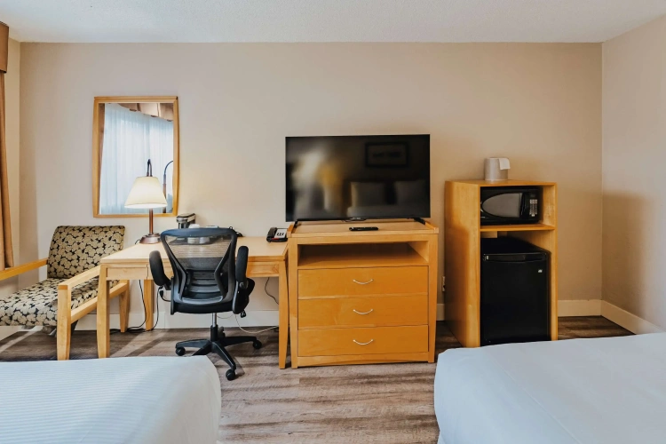 Quadruple Suite