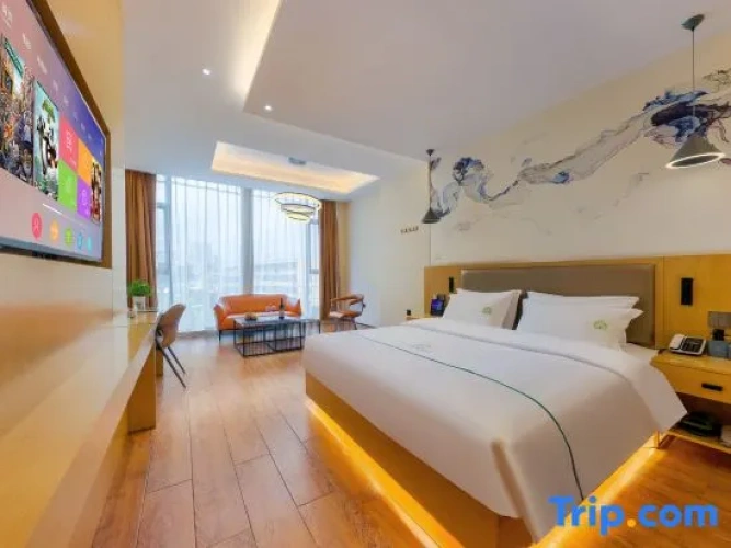 Standard Double room with street view