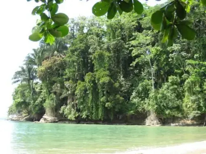 El Tucan Jungle Lodge