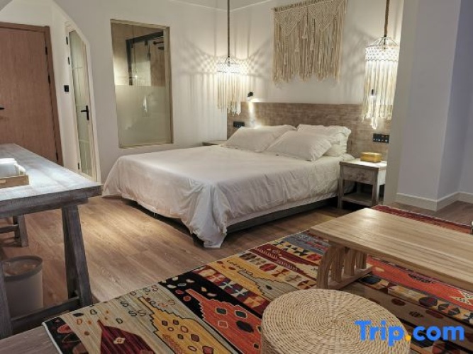 Standard Double room with courtyard view