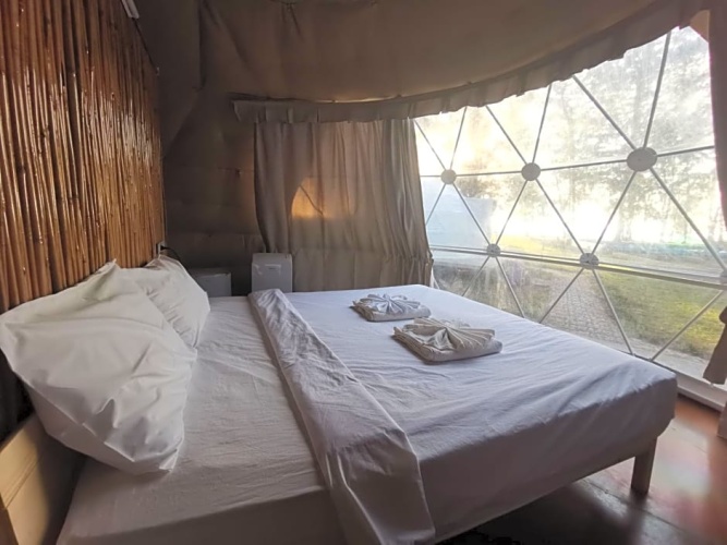 Eco Dome
