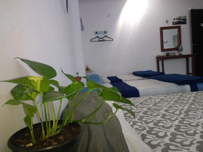 Casa A29