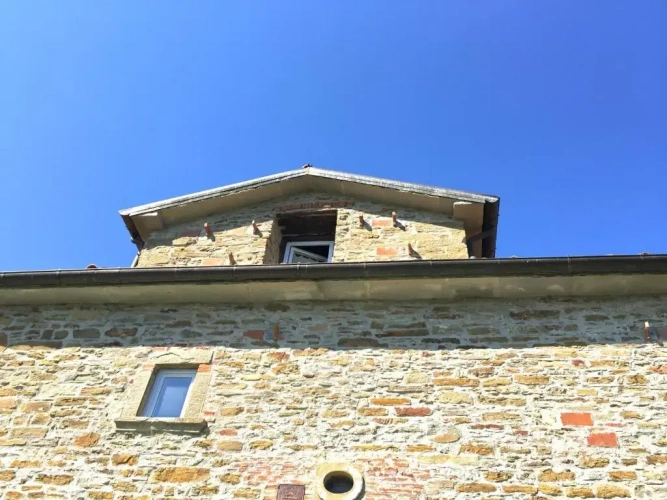 Duplex Studio