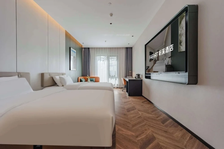 Deluxe Twin room with city view