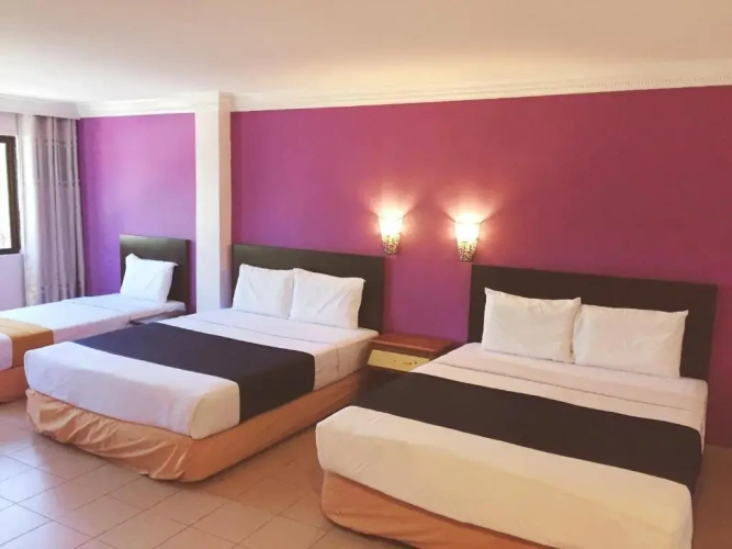 Single Suite