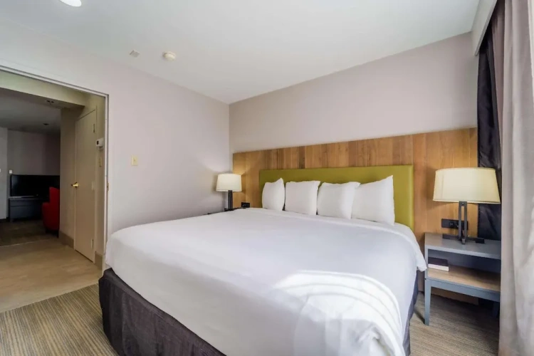 1 Bedroom Suite