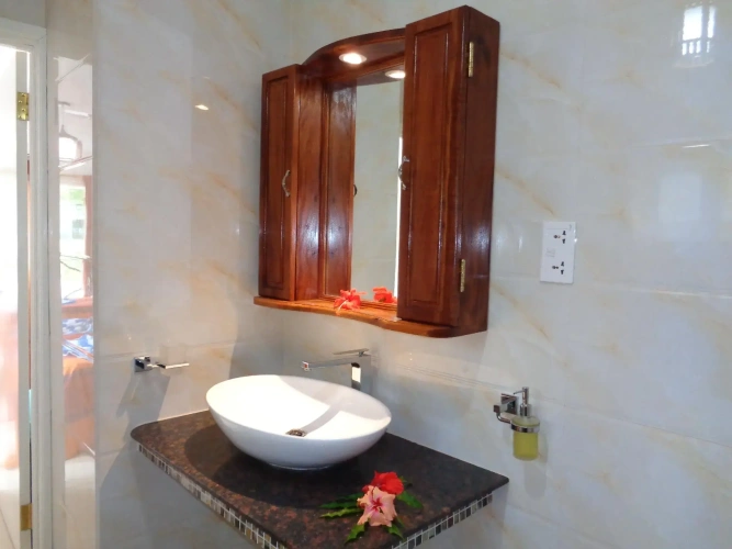 Standard Double room with balcony and with view