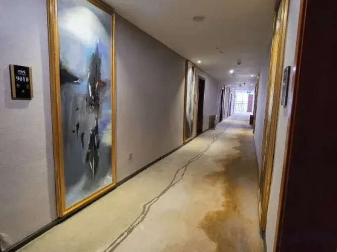 Mini Hotel
