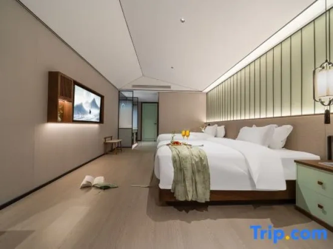 Standard Twin room with city view
