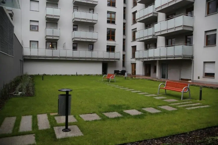 1 Bedroom Apartment