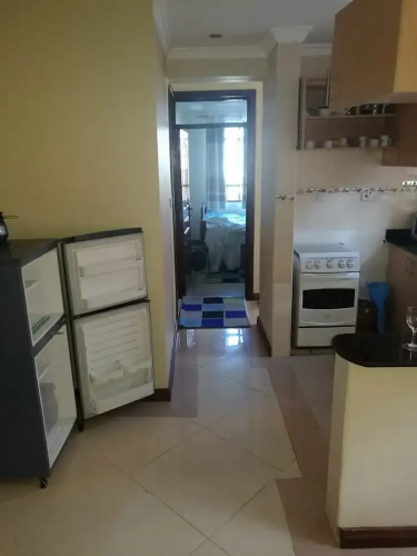 Gracious Apartment