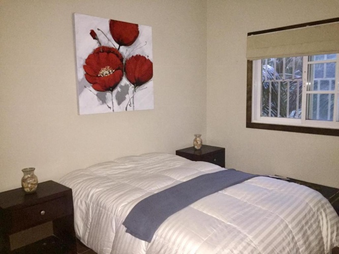 Standard Double room with garden view