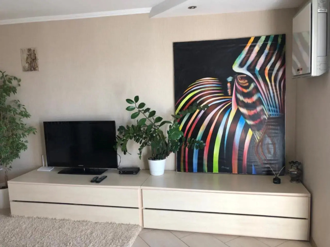 Cozy and comfortable apartment