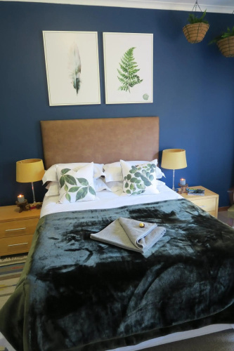 Pillow & Fern
