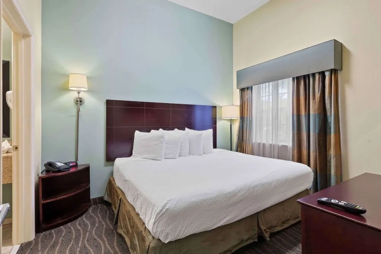 1 Bedroom Suite