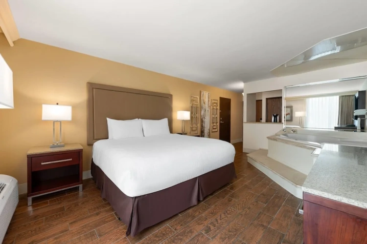 1 Bedroom Deluxe Double Suite
