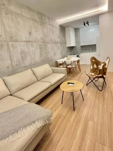 Fancy Apartment 21