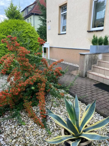 Simply Good Appartment
