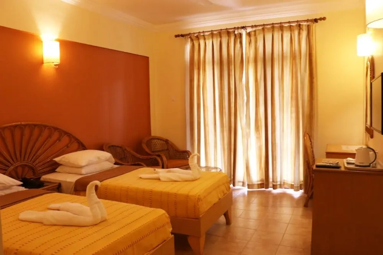 Deluxe Twin room with balcony and with view