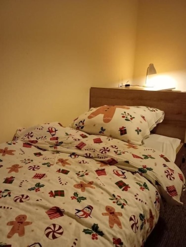 Economy Single room with city view
