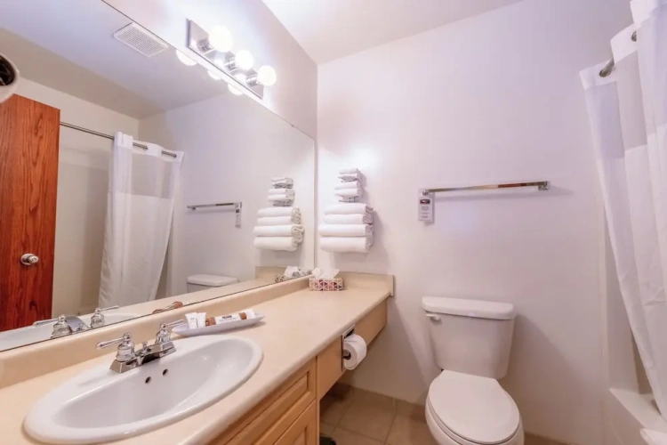 1 Bedroom Suite