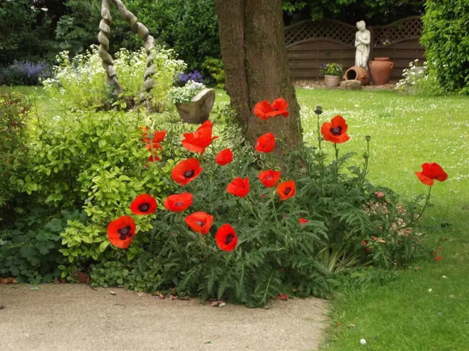 Wold View House B&B