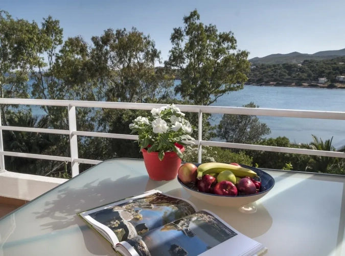 Deluxe Apartment with sea view