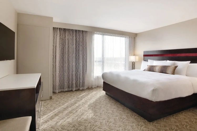 Double Suite