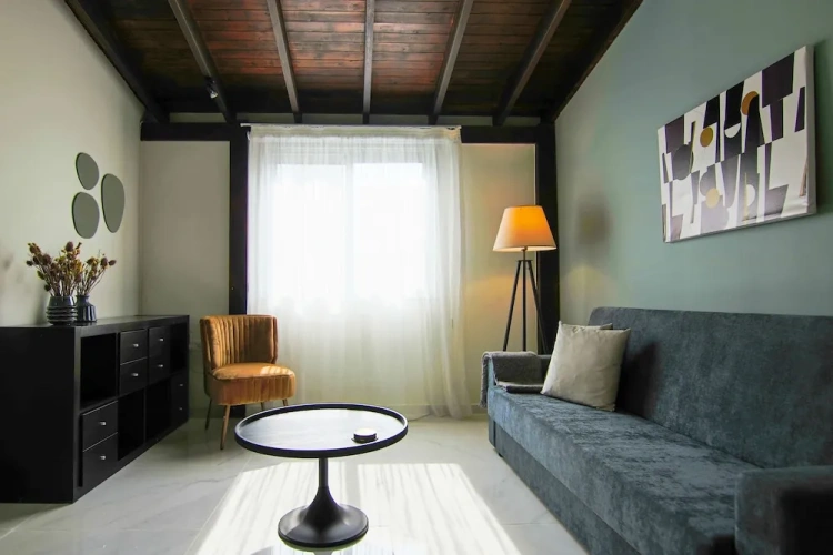 Luxury Apartment