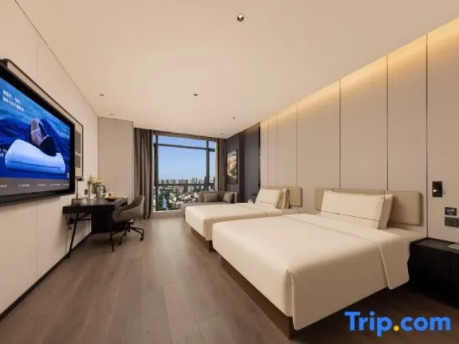 Standard Twin room with city view